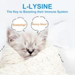 L-Lysine Cat Powder - Immune Support & Allergy Relief