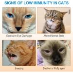 L-Lysine Cat Powder - Immune Support & Allergy Relief