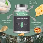 VitaPaws L-Lysine 500mg for Cats - 90 Capsules