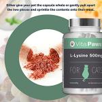 VitaPaws L-Lysine 500mg for Cats - 90 Capsules