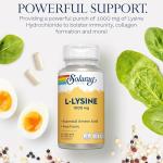 Solaray L-Lysine 1000mg Vegan Capsules - 60 Count