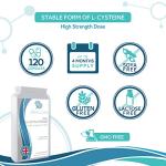 NAC N-Acetyl-Cysteine 600mg Vegan Capsules