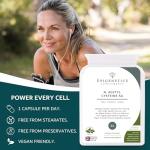 High Strength N-Acetyl Cysteine 550mg - 60 Vegan Capsules