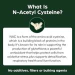 Purolabs NAC N-Acetyl-Cysteine 600mg Vegan Capsules