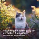 AniForte Taurine for Cats - Natural Amino Acid