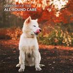 AniForte Taurine for Dogs - Amino Acid Supplement