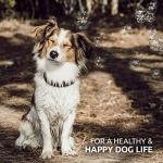 AniForte Taurine for Dogs - Amino Acid Supplement