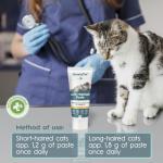 Ameizpet Anti-Hairball Malt Paste for Cats