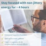 Focus Nootropic Brain Supplement for Concentration, 60 Capsules