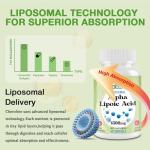 High Absorption Alpha Lipoic Acid Supplement, 60 Softgels