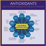 Opti-Lip Alpha Lipoic Acid 300mg - 120 Caps
