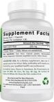 Alpha Lipoic Acid 200 mg - 240 Capsules