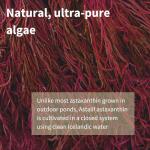 Astaxanthin Complex Oil, 90 Vegan Softgels