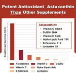 Liposomal Astaxanthin 24mg Antioxidant Supplement