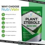 Vegan Plant Sterols 800mg for Heart Health - 90 Caps