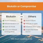 Nutrex Hawaii BioAstin Astaxanthin 6mg Vegan Softgels