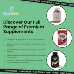 Vegan Plant Sterols 800mg for Heart Health - 90 Caps