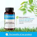 High-Potency Beta-Carotene 15,000 mcg - 100 Capsules