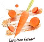 Malibu Sun Fast Tanning Oil with Beta Carotene