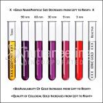 MediGOLD True Colloidal Gold - 250 mL Bottle