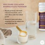 Premium Collagen Powder 500g with Amino Acids