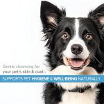 Natural Colloidal Silver Spray for Pets' Hygiene