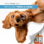 Natural Colloidal Silver Spray for Pets' Hygiene