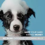 Natural Colloidal Silver Spray for Pets' Hygiene