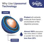 Liposomal Luteolin Capsules 500mg - High Absorption