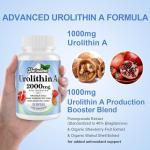 Urolithin A Supplement with Pomegranate & Berry Extracts