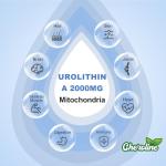 Urolithin A Supplement with Pomegranate & Berry Extracts