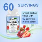 Urolithin A Supplement with Pomegranate & Berry Extracts