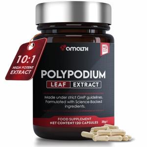 Polypodium Leucotomos Extract – Healthy Skin Support