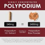 Polypodium Leucotomos Extract – Healthy Skin Support