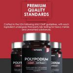 Polypodium Leucotomos Extract – Healthy Skin Support
