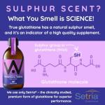 WELL ACTUALLY Liposomal Glutathione with B6 & Selenium