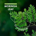 Organic Moringa 2100mg Vegan Capsules - 180 Count