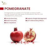Plant-Based Polyphenol Antioxidant Supplement – 90 Capsules
