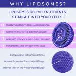 WELL ACTUALLY Liposomal Glutathione with B6 & Selenium