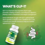 GLP-1 Modulation 750mg for Appetite & Gut Health