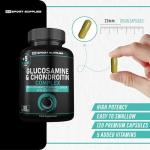 Glucosamine Chondroitin Plus Vitamins 120 Capsules