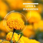 Lutein & Zeaxanthin with BioPerine® - 90 Vegan Capsules