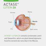 Actase ZA Double Pack Eye Care Supplement