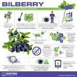 Eye Care Tablets with Bilberry, Lutein & Grape Seed