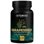 Grape Seed Extract Capsules | High Strength Antioxidant