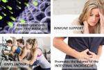 Elderberry Immune Support Supplement with Antioxidants