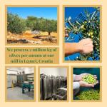 High Polyphenol Premium Extra Virgin Olive Oil