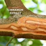 High Strength Organic Cinnamon Extract 7500mg - 90 Capsules