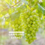High Strength Organic Grapeseed Extract 20,000mg 90 Capsules