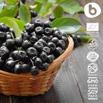 Bobica Organic Aronia Berry Capsules - Antioxidant Boost